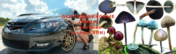 кокс Бородино