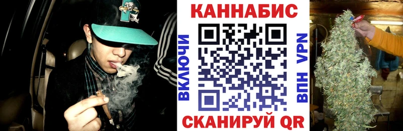 где купить наркотик  Долгопрудный  MEGA ONION  Каннабис AK-47 